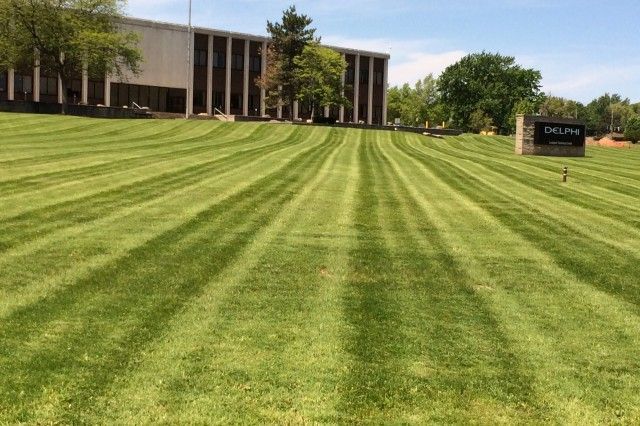 Mike Sinatra Landscaping, LLC 4