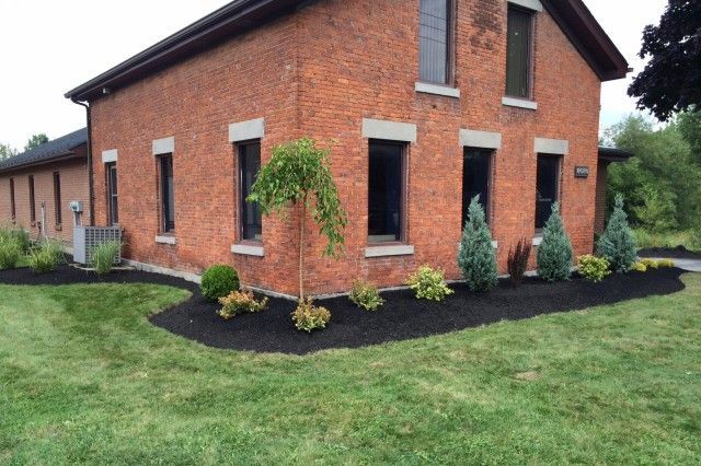 Mike Sinatra Landscaping, LLC 6