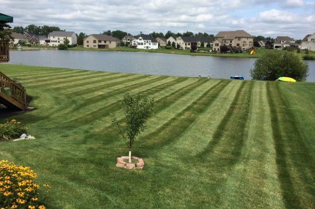 Mike Sinatra Landscaping, LLC 7