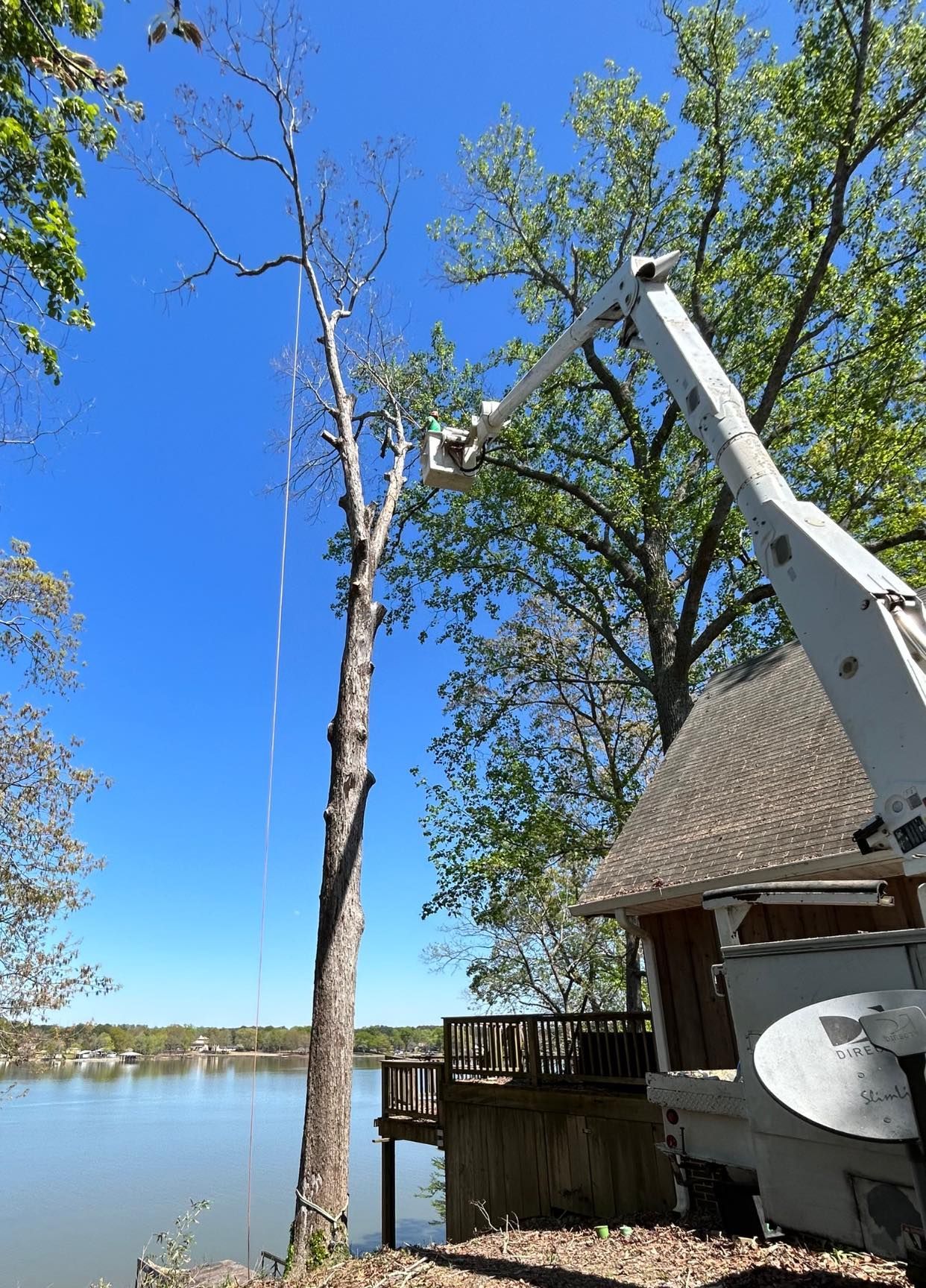 Tree Removal — Springville, AL — Harris Tree Service Tree Removal — Springville, AL — Harris Tree Service