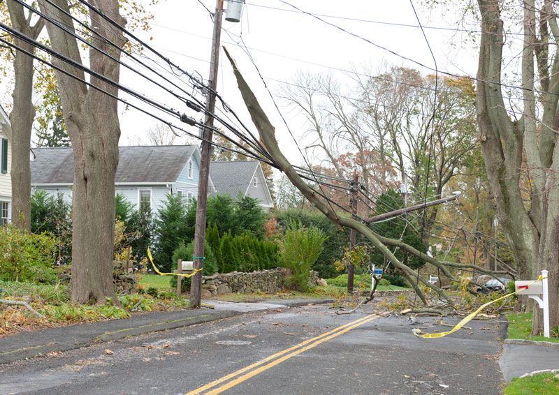 Storm Damage — Springville, AL — Harris Tree Service Storm Damage — Springville, AL — Harris Tree Service