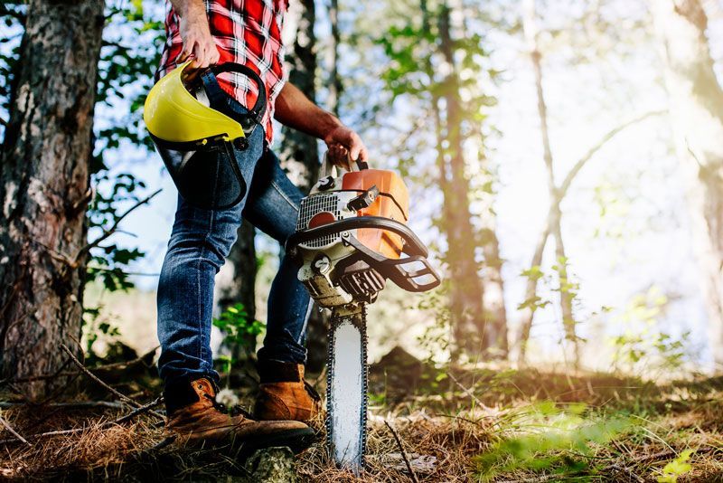 Man Holding Chainsaw — Springville, AL — Harris Tree Service Man Holding Chainsaw — Springville, AL — Harris Tree Service