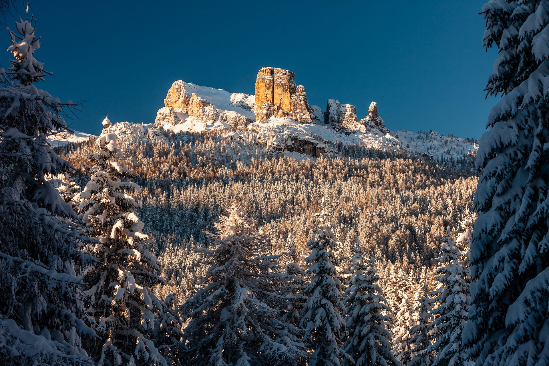 Ein verschneiter Wald mit einem Berg im Hintergrund