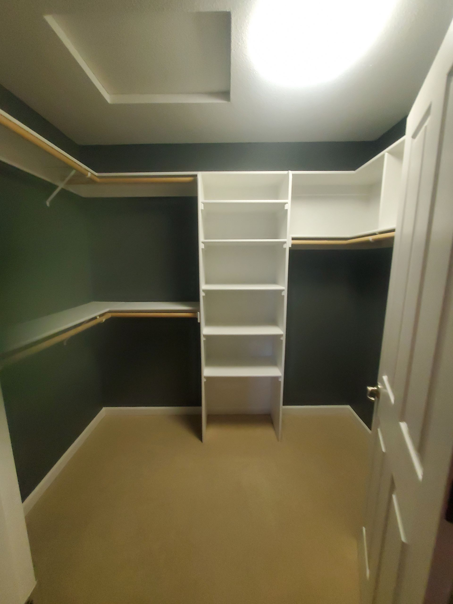 Walk-in closet with shelves and rods, white shelving, dark green walls, beige carpet, and a light fixture.