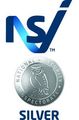 NSI Fire Silver