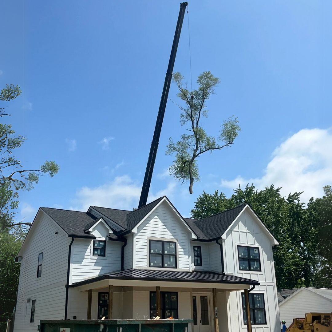 Crane lifting a tree over a newly built white house with black trim under a blue sky.