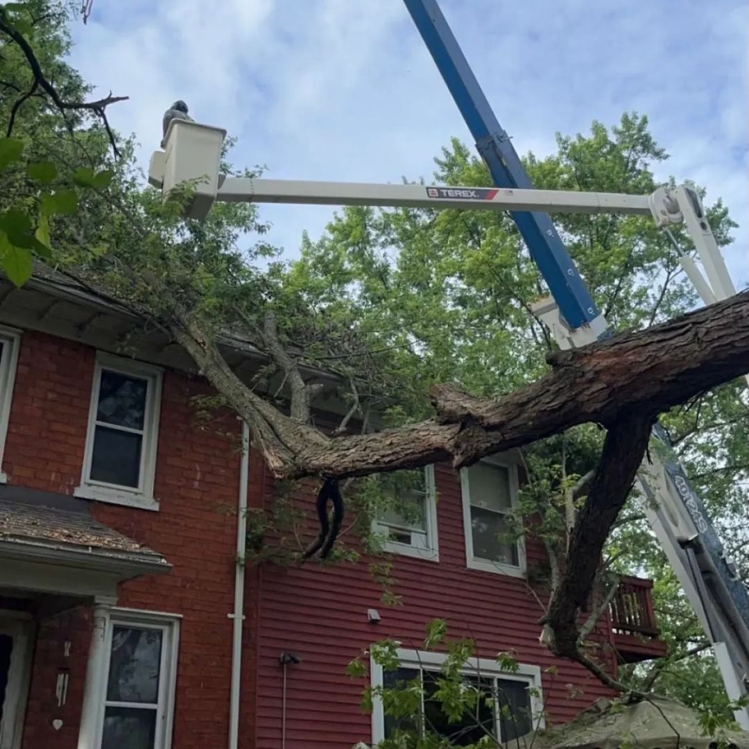 Tree service worker in a lift trimming a tree branch that fell on a two-story red brick house.
