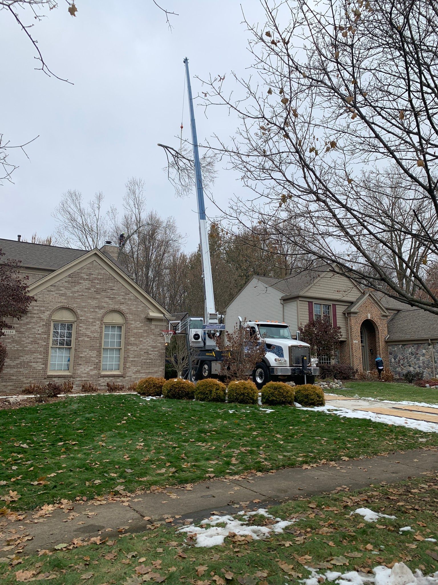 A tree service truck with extended lift trimming a tree in front of brick houses on a cloudy day.