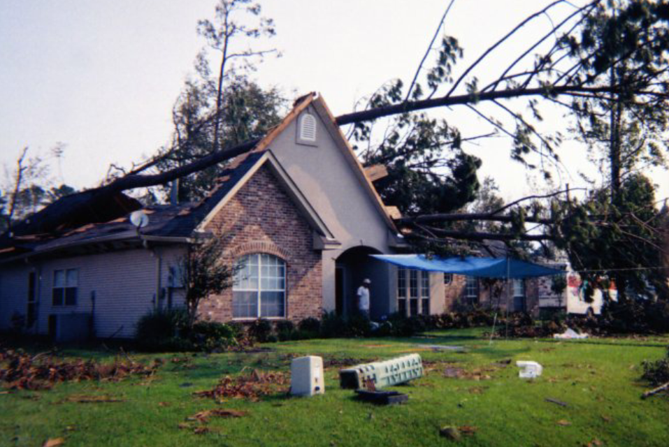 House with a tree fallen on the roof. Blue tarp covers the porch, person stands at the doorway.