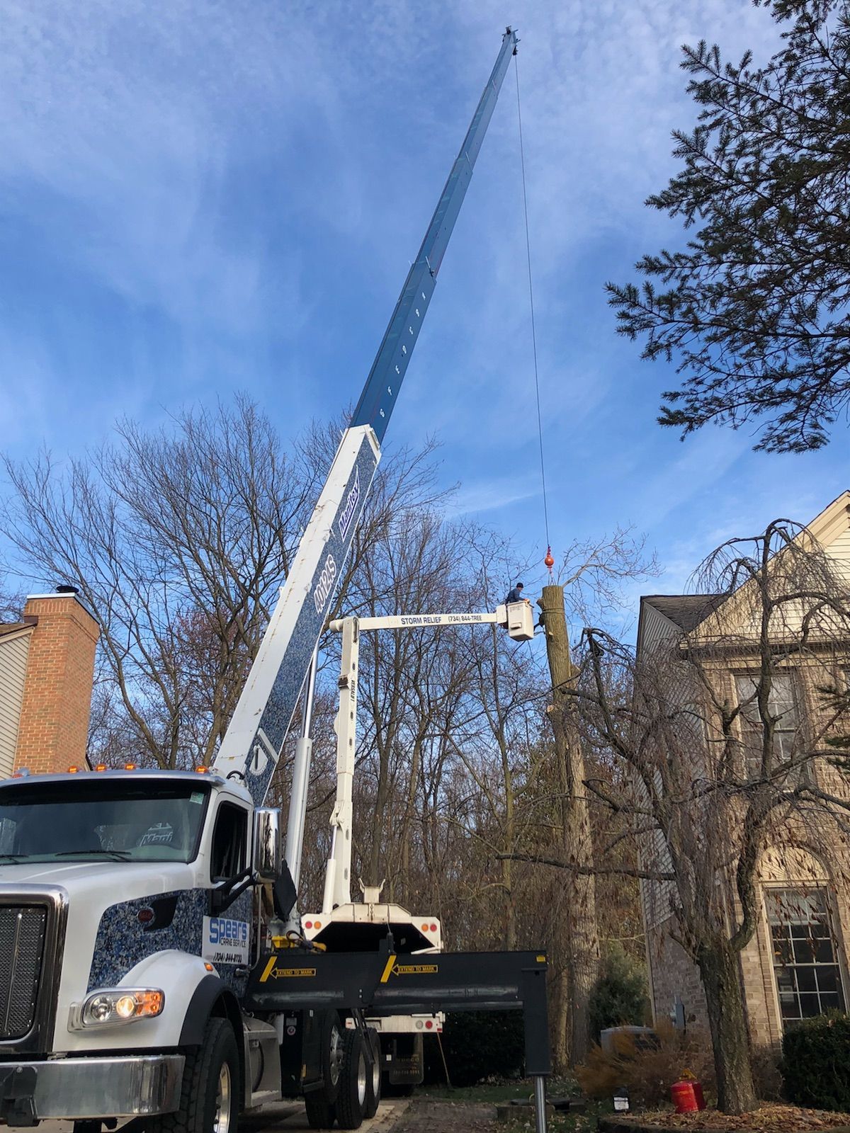 A large crane removing a tree, next to a truck on a residential street under a blue sky.
