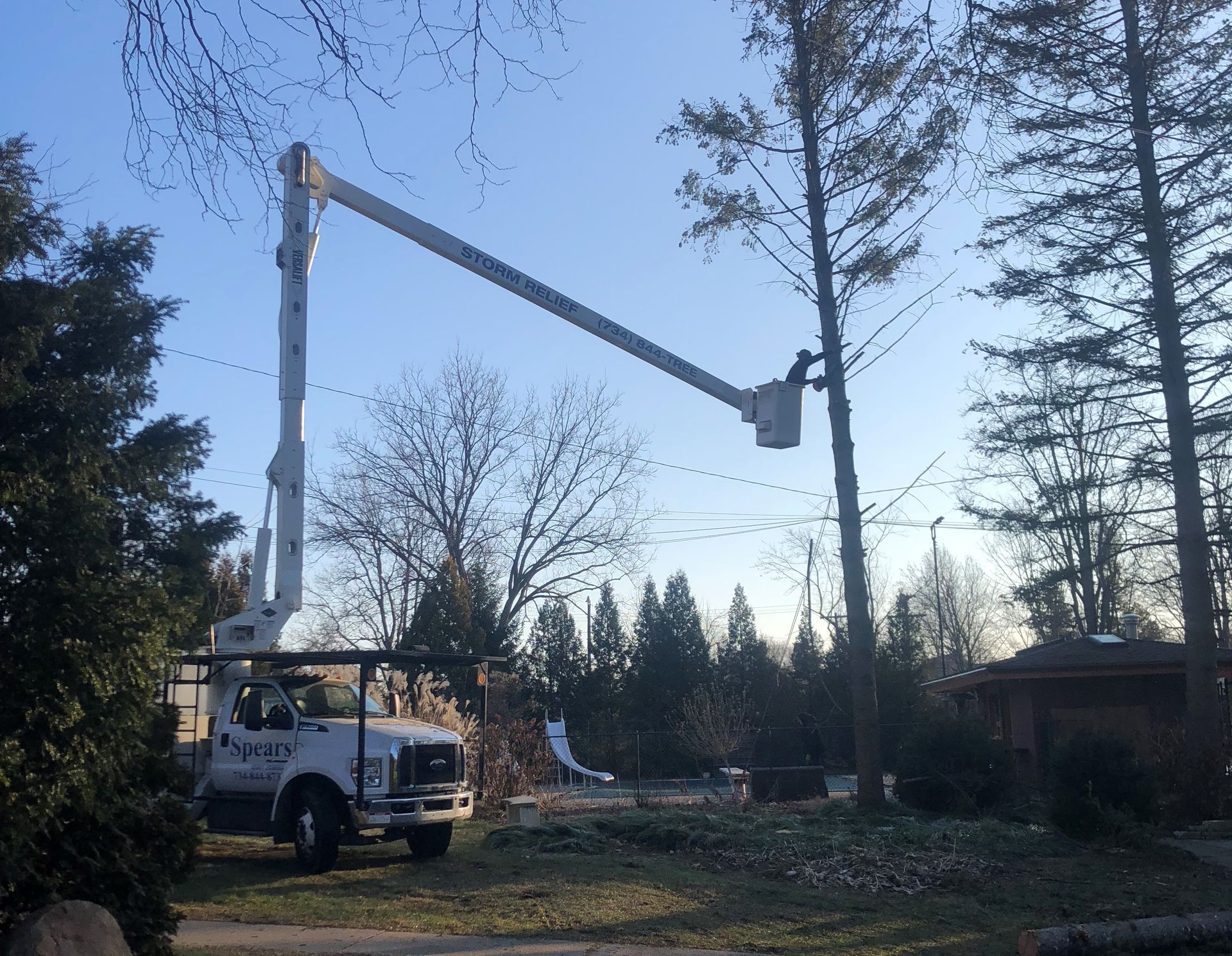 A tree service truck with an extended boom trimming a tall tree in a yard.
