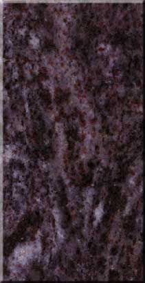 Dark, blurry close-up of a mottled purple-brown textured surface