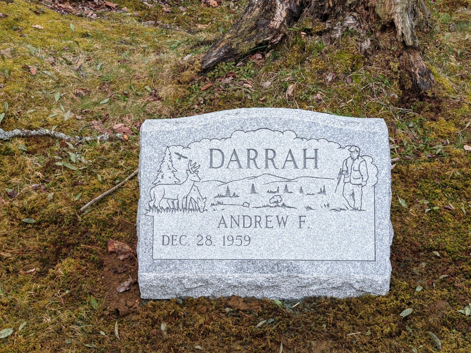Granite gravestone on grass beneath a tree, engraved with “DARRAH” and “ANDREW F.”