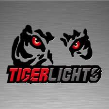 Tiger Lights Logo | Moonlight Repair