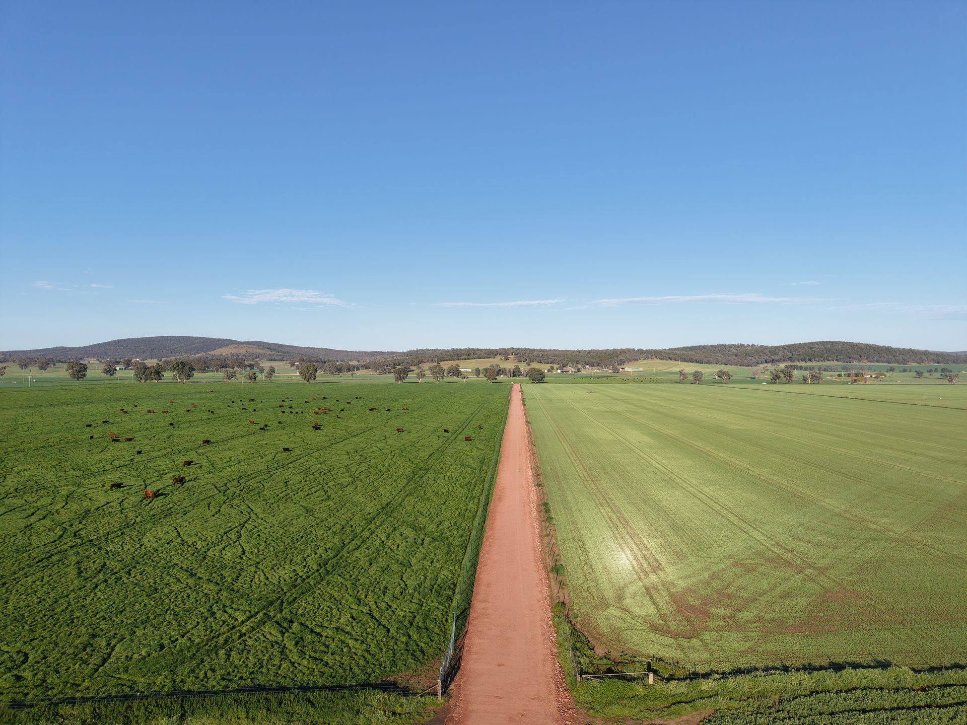 Complete rural road construction in Cowra NSW – from bulk material handling to compaction and final trim. 