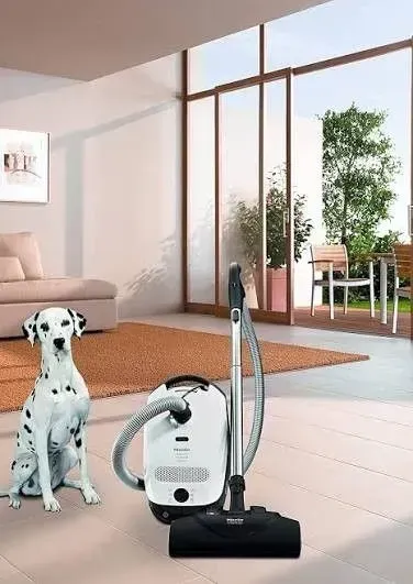 Dalmatian beside a vacuum cleaner in a bright living room with large windows and a plant-filled patio