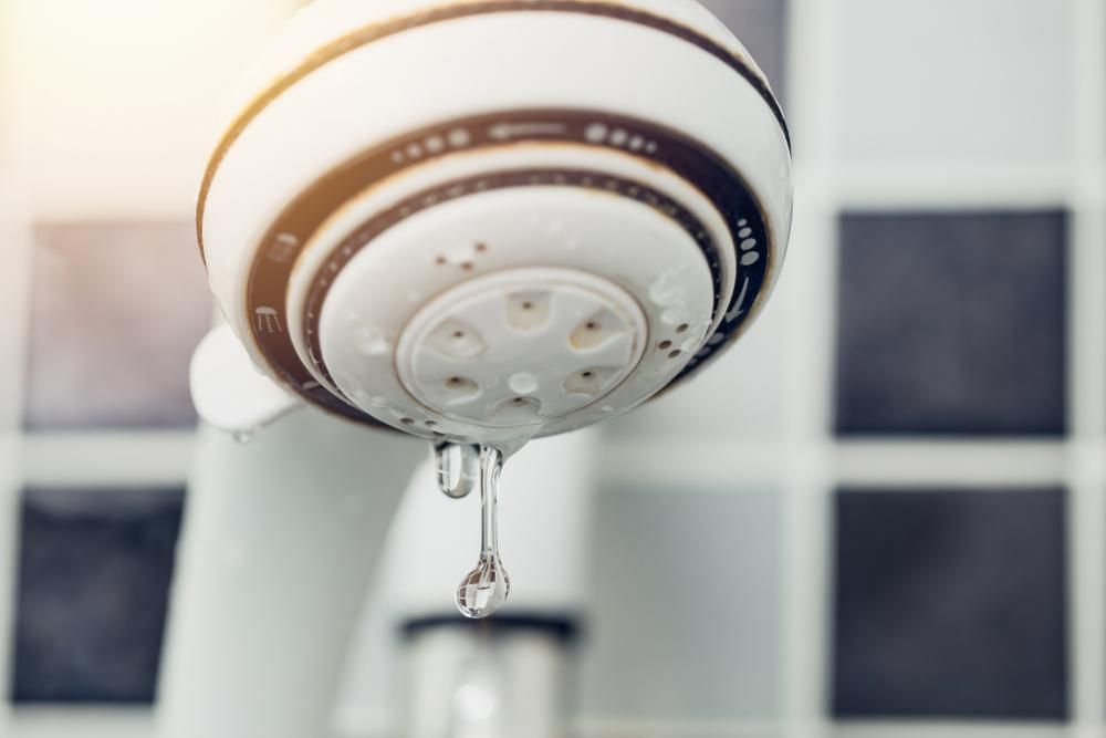 A Close up Of a Shower Head with Water Dripping from It — Top To Bottom Plumbing in Garbutt, QLD