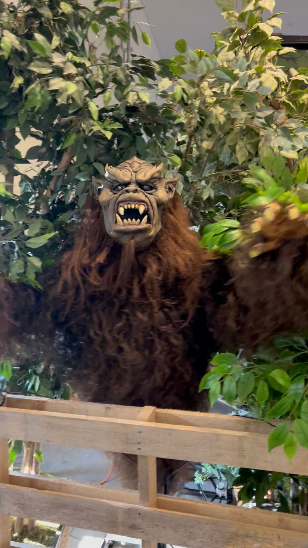 Sasquatch