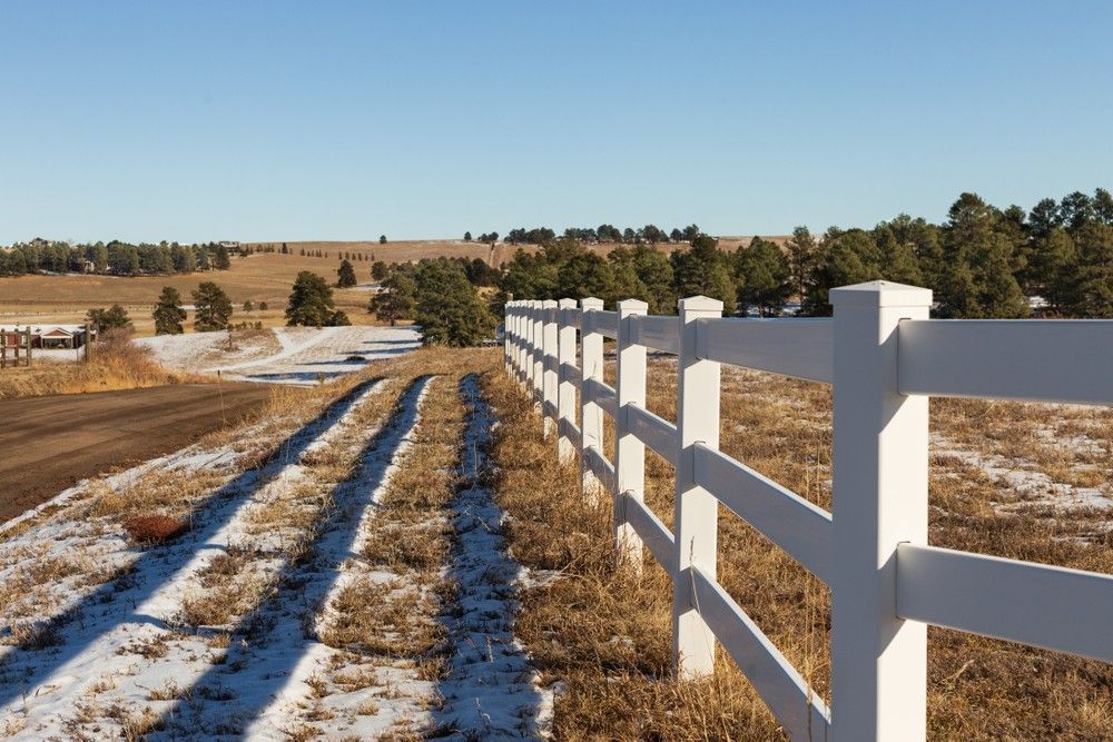 A Fence Lines a Field and Dirt Road — Barry Brown Rural Contracting Service in Tinonee, NSW