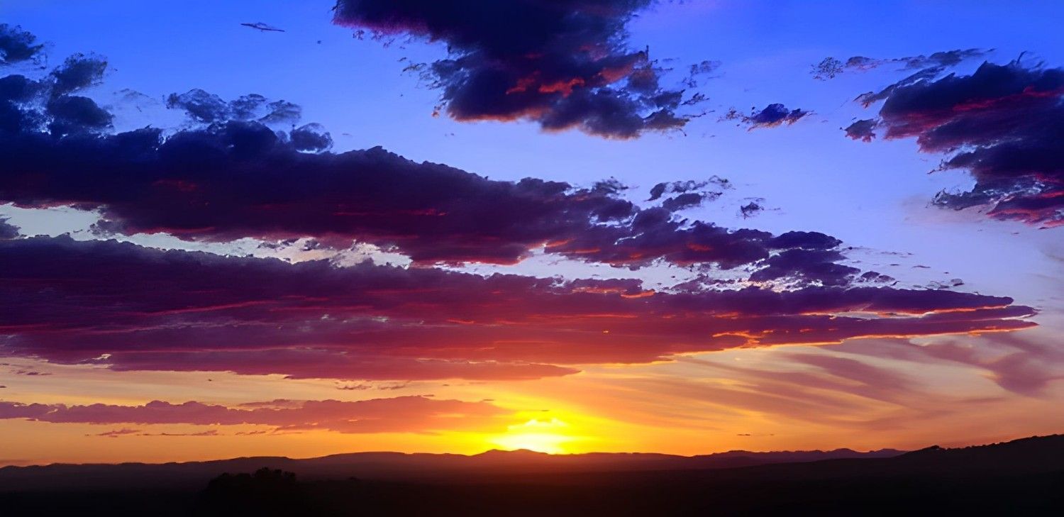 A Sunset with Vibrant — Barry Brown Rural Contracting Service in Nabiac, NSW