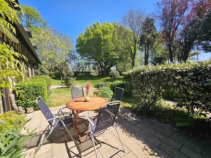 Patio ensoleillé avec table ronde en bois, chaises noires et haies sous un ciel bleu