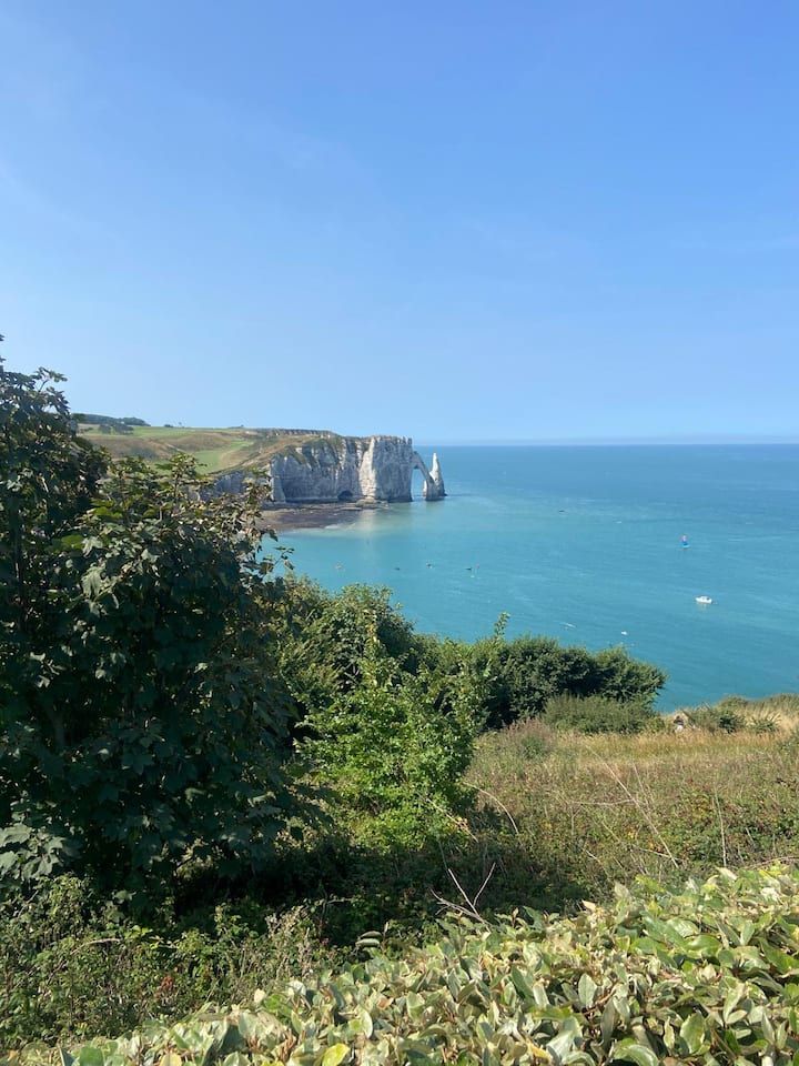 Falaises côtières surplombant une mer turquoise sous un ciel bleu clair, avec une végétation verte au premier plan.