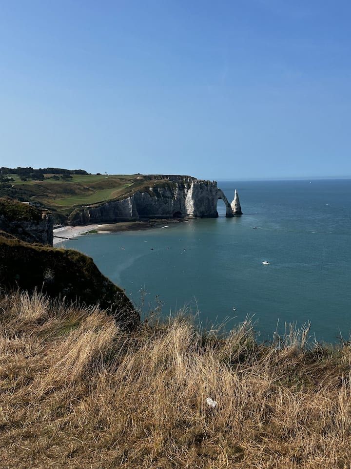 Falaises rocheuses côtières surplombant une mer bleue sous un ciel dégagé, avec de l'herbe sèche au premier plan.