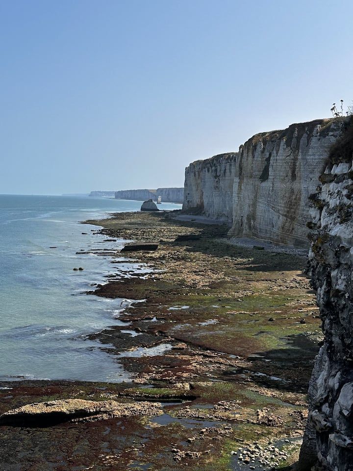 Falaises rocheuses en bord de mer, bordant un océan bleu calme sous un ciel clair