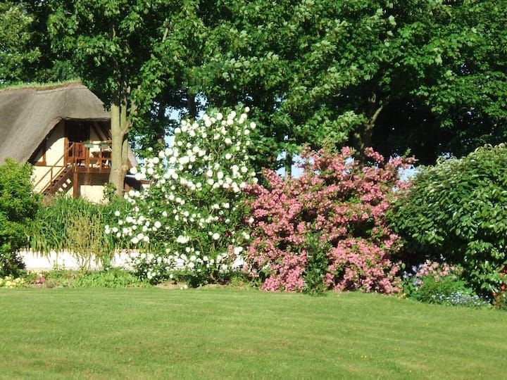 Pelouse verte ornée de buissons fleuris devant une maison au toit de chaume, entourée d'arbres.