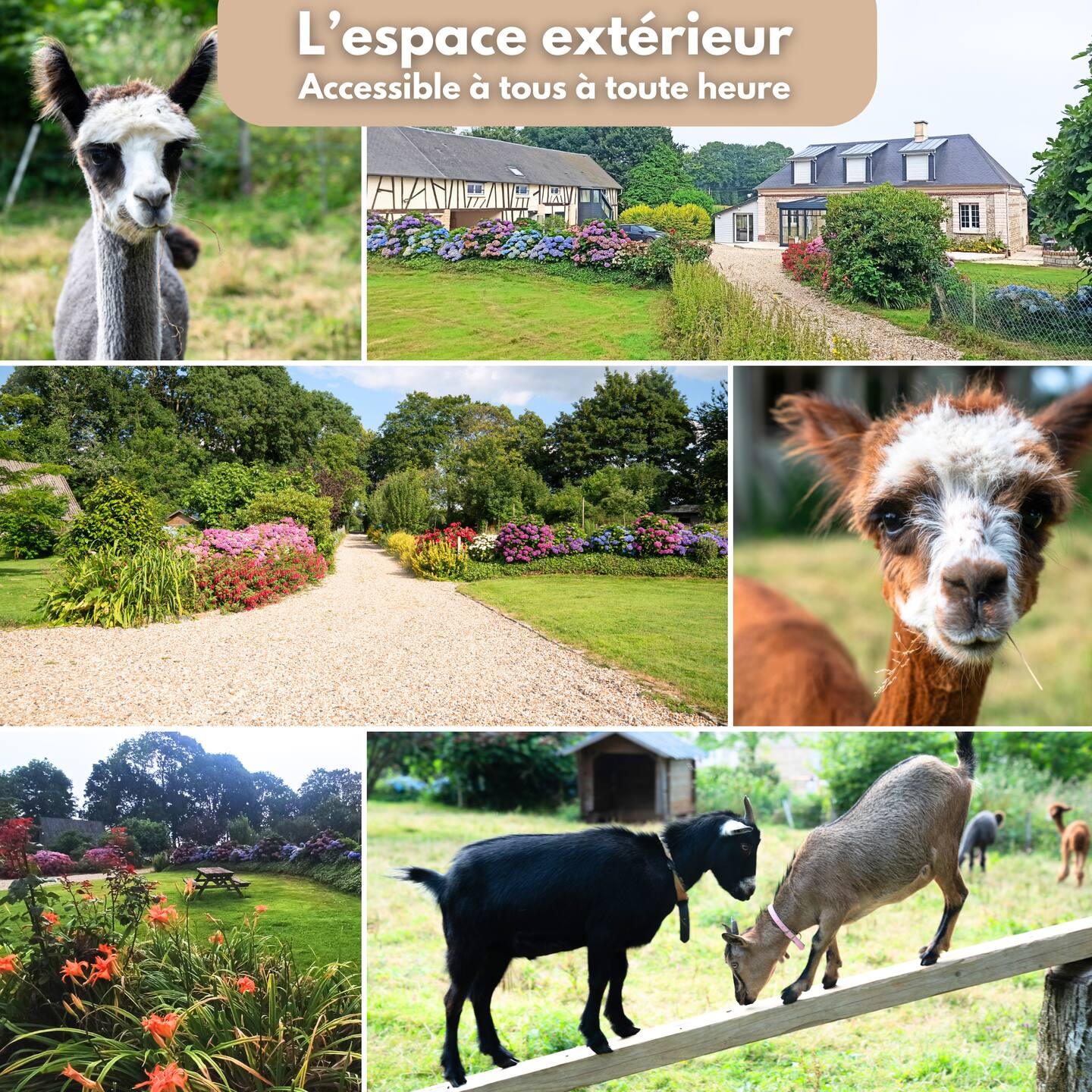 L'extérieur