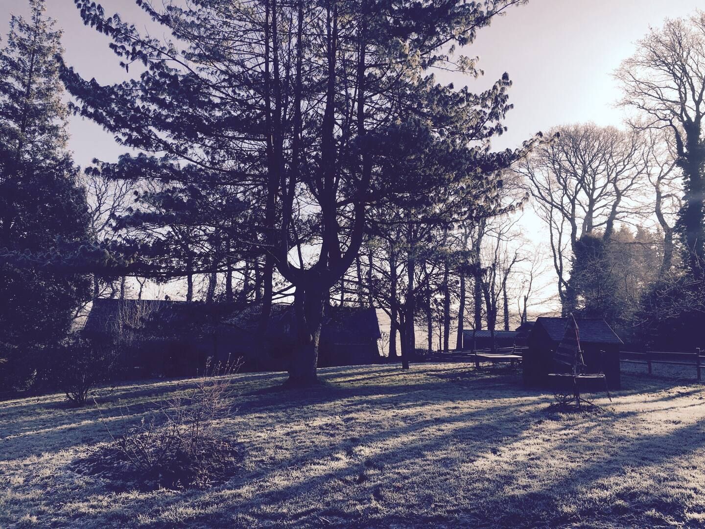 Autre photo du jardin