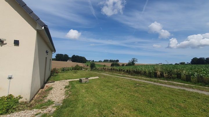 Pelouse à l'arrière d'une maison beige, bordée de haies et sous un ciel bleu.
