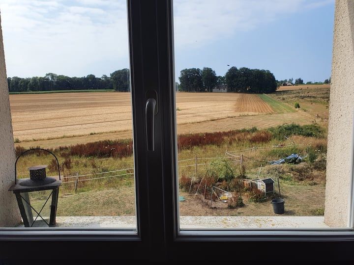 Vue par la fenêtre d'un champ moissonné avec des arbres sous un ciel bleu ; petite table sur le porche de gauche.