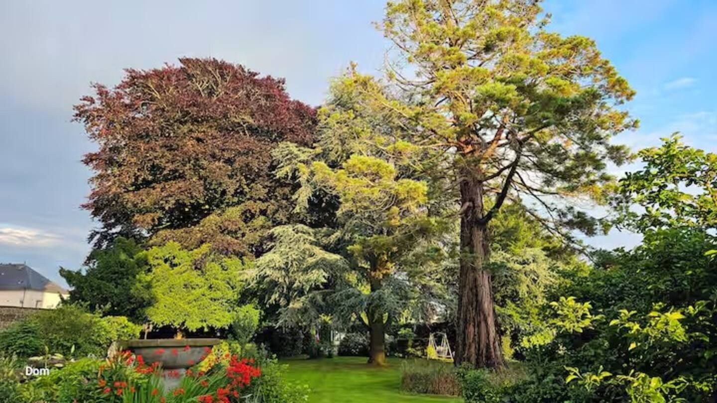 Photo du jardin
