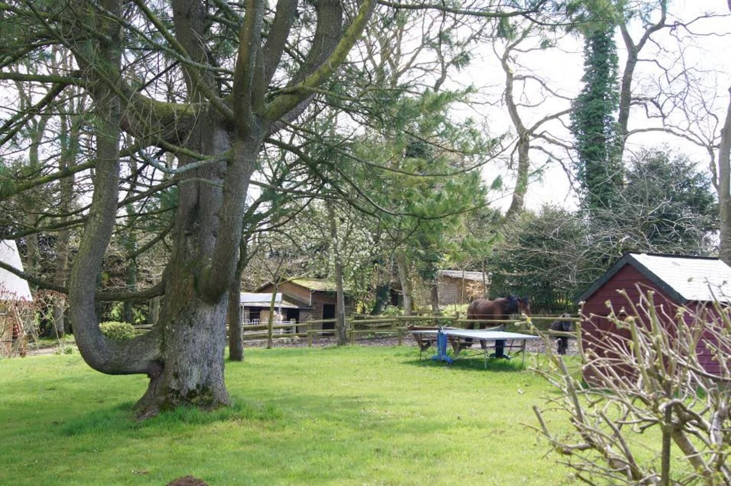 Autre vue du jardin