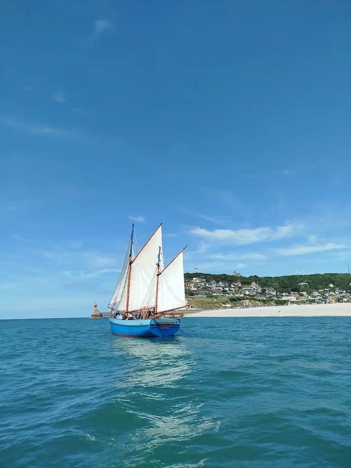 Voilier bleu à voiles blanches sur une mer agitée près d'une côte verdoyante sous un ciel dégagé
