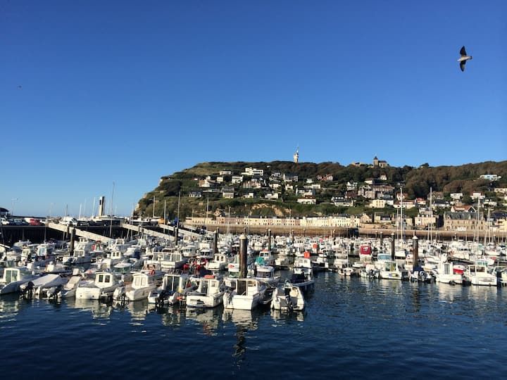 Marina avec de nombreux petits bateaux, des bâtiments à flanc de colline et un ciel bleu clair au-dessus d'une eau calme