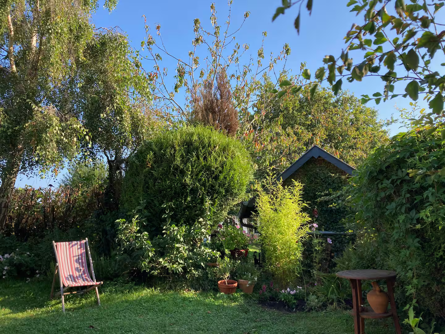 Jardin