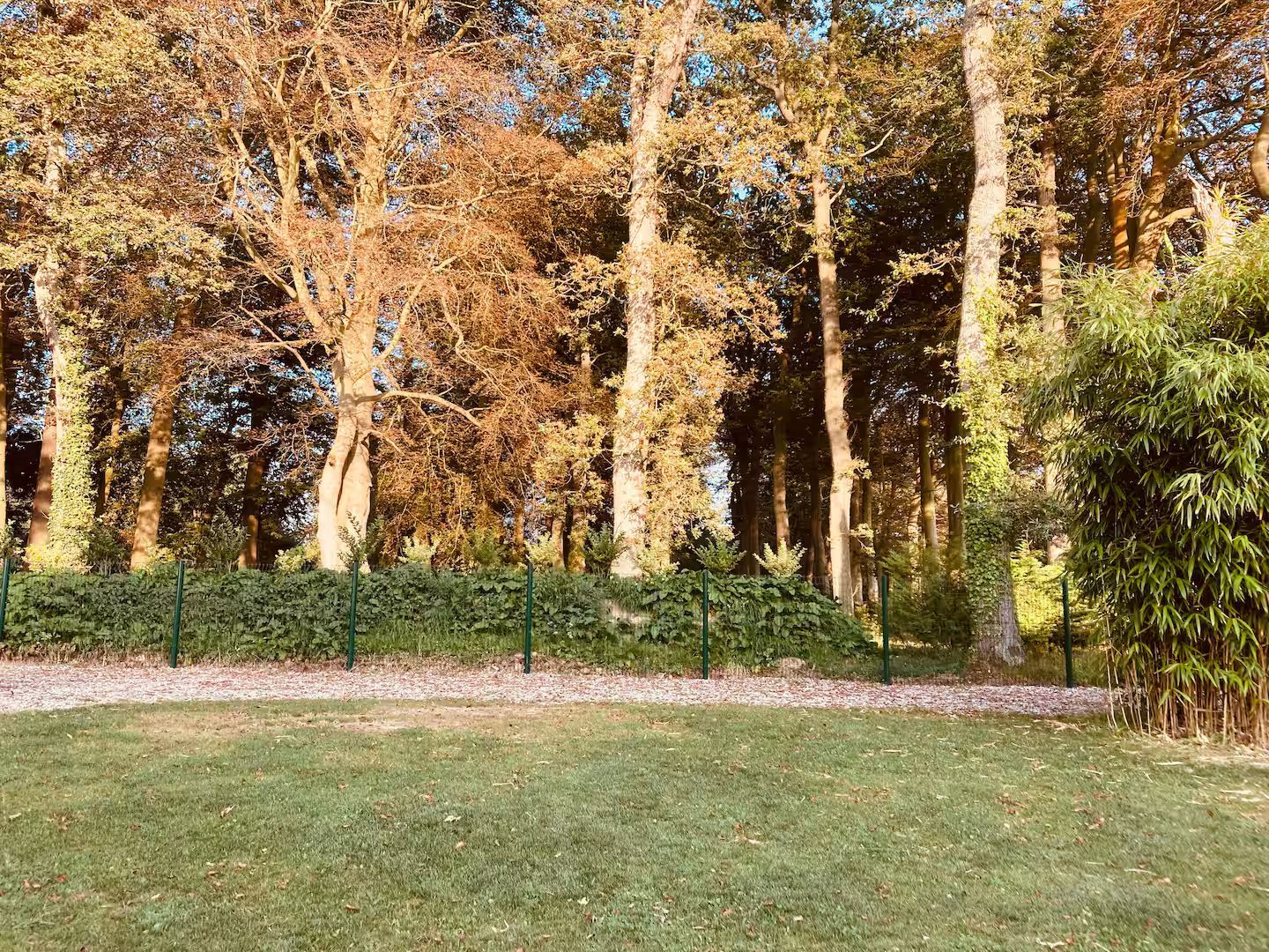Une clôture entoure un champ vert luxuriant avec des arbres en arrière-plan.