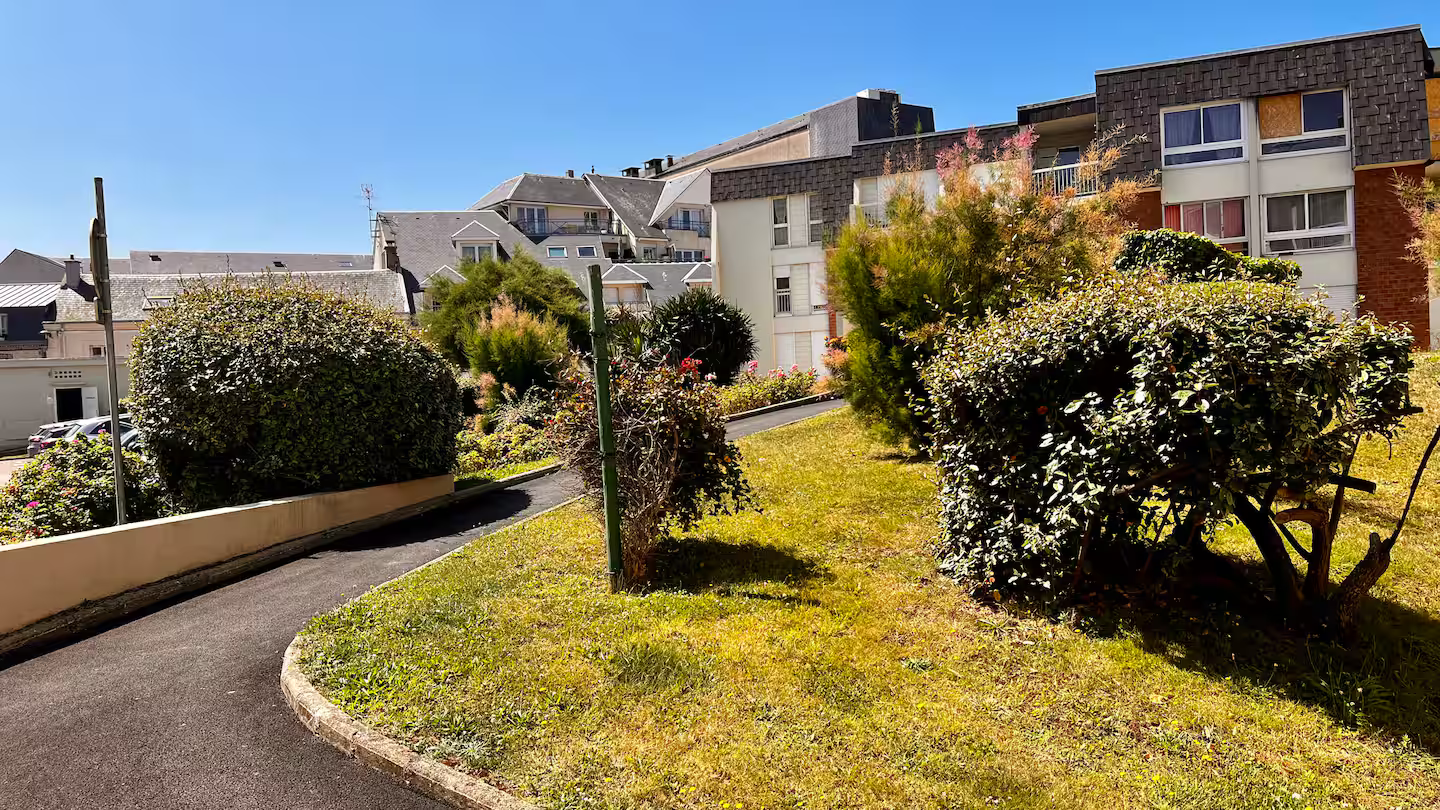 Un chemin traversant un parc verdoyant avec des bâtiments en arrière-plan.