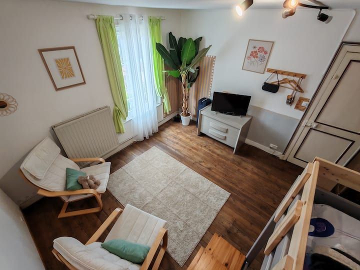 Chambre confortable avec deux fauteuils en bois, un tapis, une télévision, une grande plante et des œuvres d'art. Éclairage chaleureux et palette de couleurs blanc/vert.