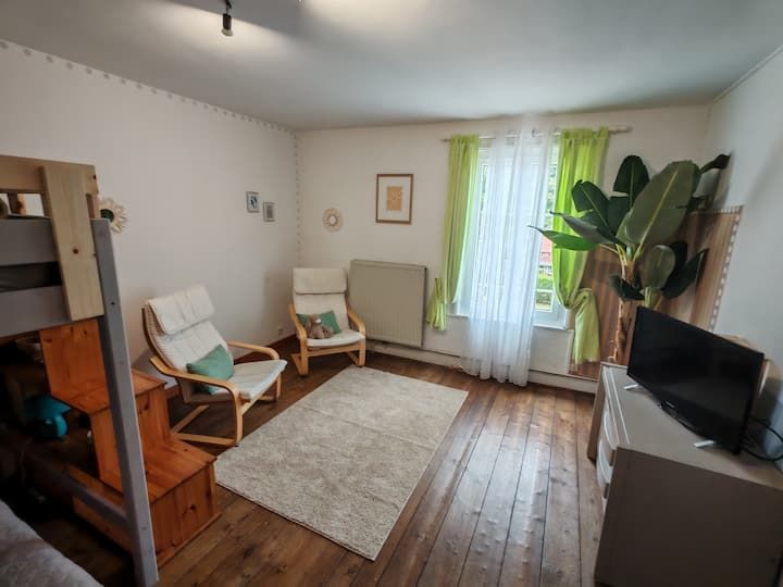 Chambre avec deux chaises, un tapis, une fenêtre avec des rideaux verts et une télévision.