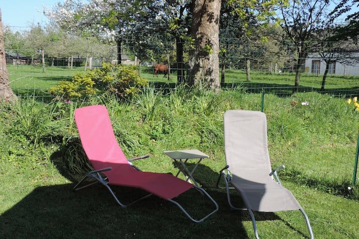 Deux chaises longues sur l'herbe dans une cour ensoleillée ; une petite table entre elles, des arbres et un bâtiment en arrière-plan.