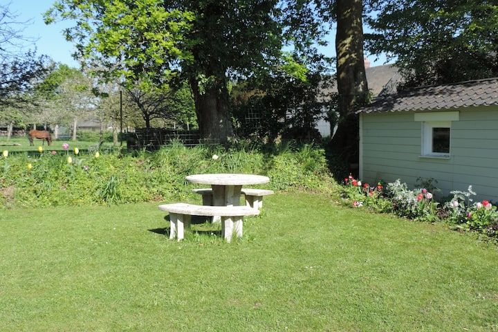 Table de pique-nique sur une pelouse verte, petit abri de jardin, cheval en arrière-plan, entouré d'arbres et de fleurs.