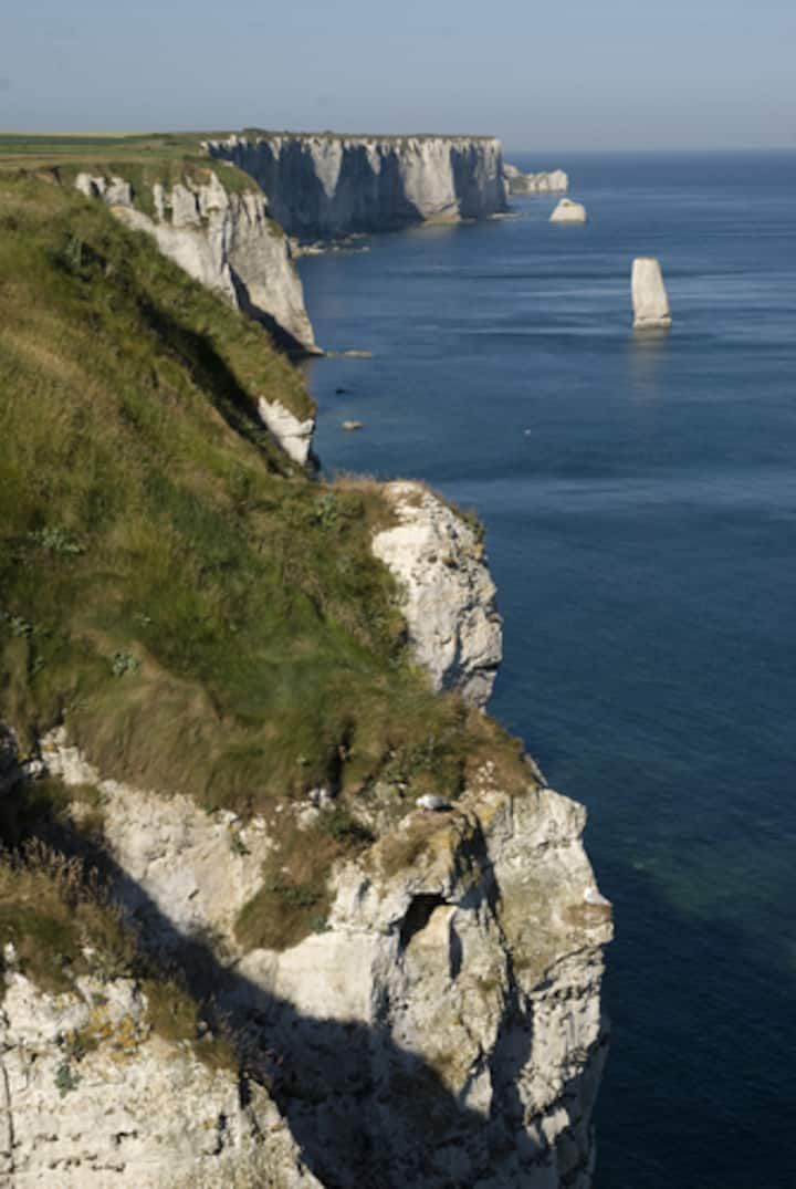 Des falaises blanches surmontées d'herbe verte surplombent l'océan bleu.