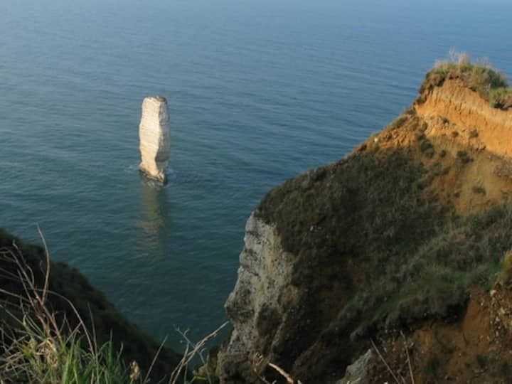 Falaises surplombant une mer calme, avec une haute et fine formation rocheuse émergeant de l'eau.