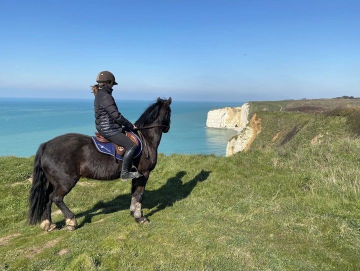 Une personne chevauche un cheval noir sur une falaise herbeuse surplombant l'océan et des falaises blanches sous un ciel bleu.