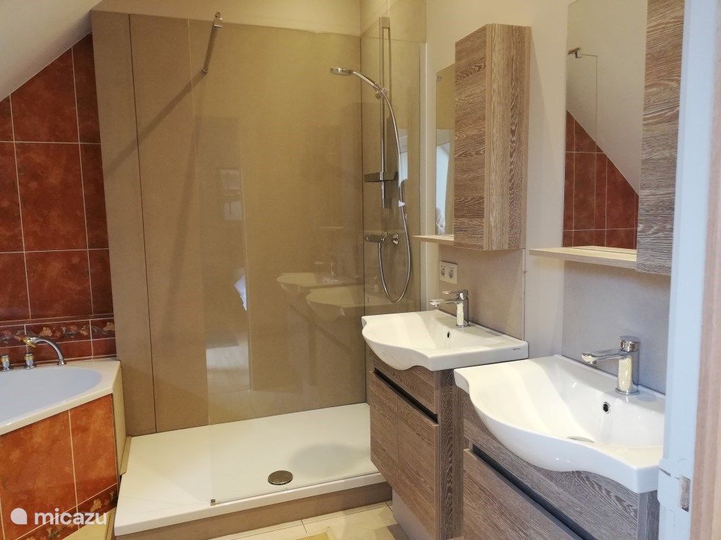 Salle de bain avec douche