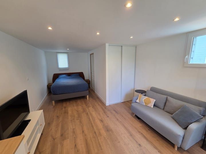 Chambre lumineuse avec un lit, un canapé gris, un parquet, des murs blancs et un meuble TV.