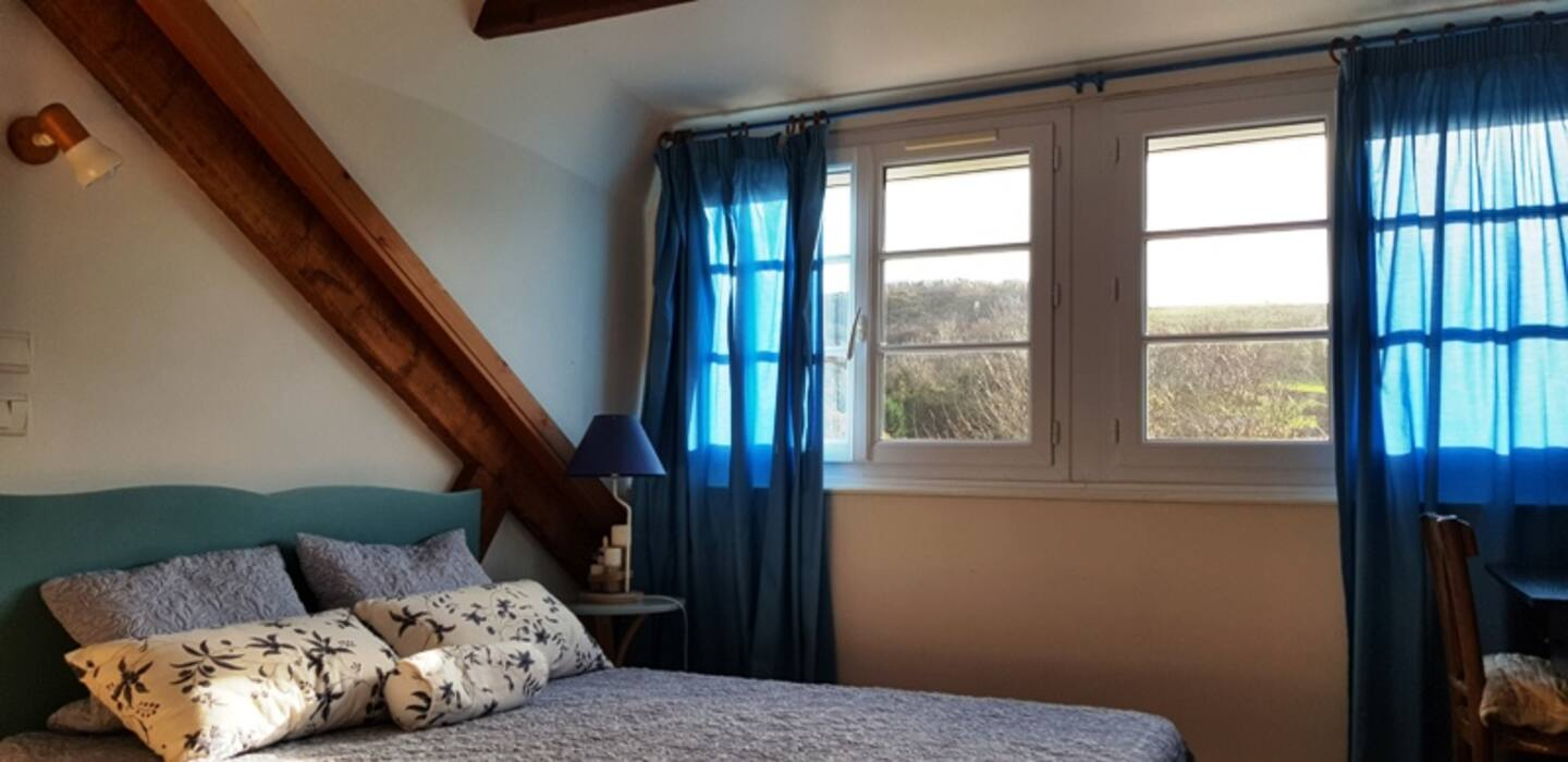 Une chambre avec un lit, deux fenêtres et des rideaux bleus.